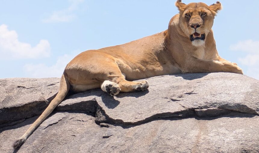 Serengeti National Park